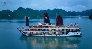 amanda luxury overview