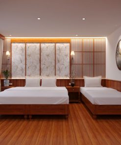 Daiichi Luxury Cruise Senior-balcony-Double-Trip